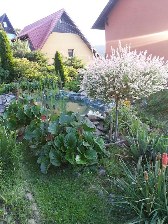 Noclegi U Andrzeja Duszniki Zdrój Exteriör bild