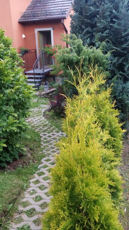 Noclegi U Andrzeja Duszniki Zdrój Exteriör bild